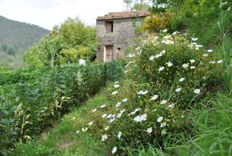 Il Ghiro B&B Рико дел Голфо ди Специя Екстериор снимка