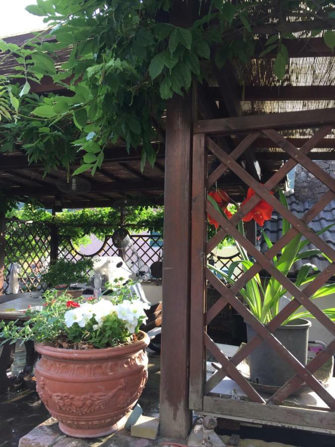 Il Ghiro B&B Рико дел Голфо ди Специя Екстериор снимка
